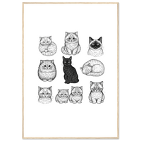 Load image into Gallery viewer, 04ad541d-4d6f-4c29-a787-0ea94e9dbdcd