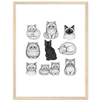 Load image into Gallery viewer, 38bbe46b-fcbf-4053-b8ea-e29ad3c3feba