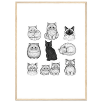 Load image into Gallery viewer, 55d29c4e-5c5c-4b0b-b81a-75db7de852cc